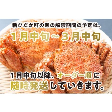 ふるさと納税 ＜2024年1月から順次発送＞ 北海道産 かに 浜ゆで 毛がに 3尾 × 3回 （ 計 9尾 ） ＜  予約商品 ＞  .. 北海道新ひだか町