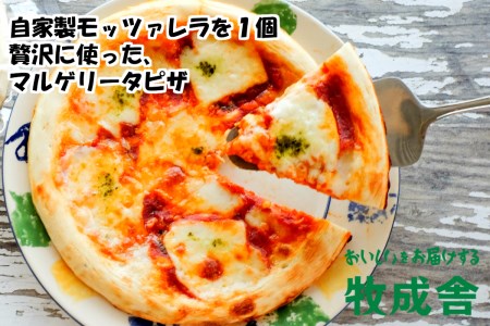 牧成舎 自家製モッツァレラを1個贅沢に使ったマルゲリータピザ 直径24cm 2枚セット モッツァレラチーズ たっぷり[Q1682]