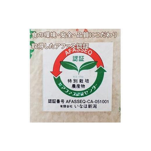 ふるさと納税 新潟県 十日町市 令和5年度新米　新潟魚沼産コシヒカリ 天神米 5kg×2袋