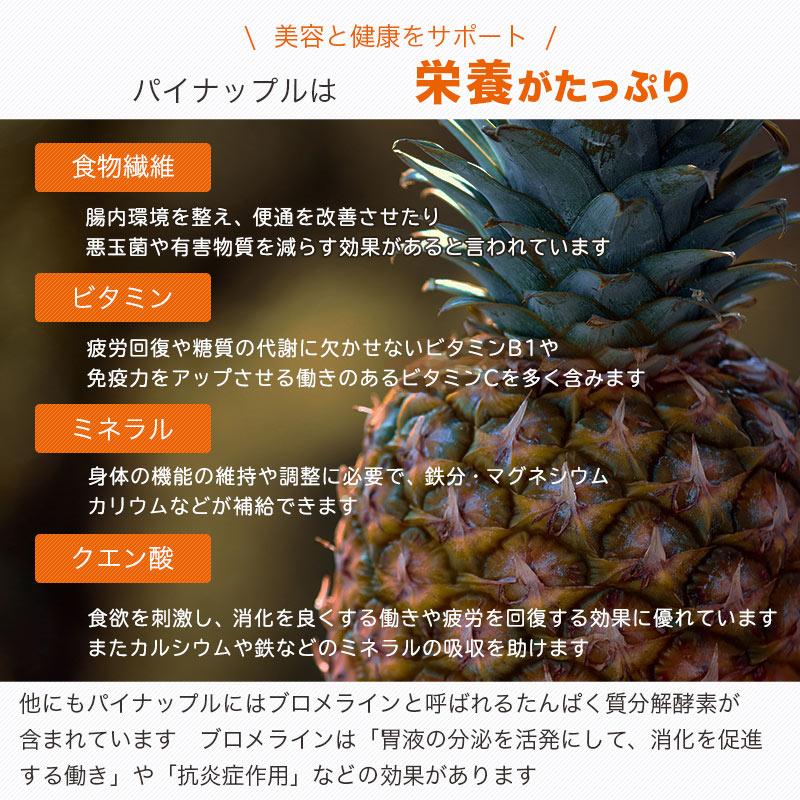 ドライフルーツ パイナップル ドライパイナップル ドライパイン タイ産 1kg しっとり ソフト食感 パイン