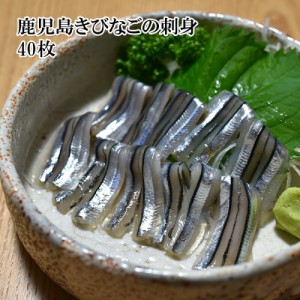 [どれでも5品で送料無料] 魚屋がガチで作った 国産 生食用 きびなごの刺身 100g 40匹入 冷凍