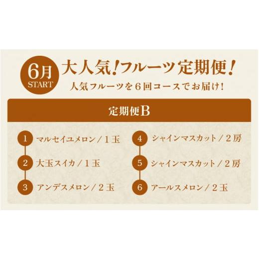 ふるさと納税 福井県 坂井市  坂井市フルーツ三昧！！定期便B【定期便 くだもの 果物…