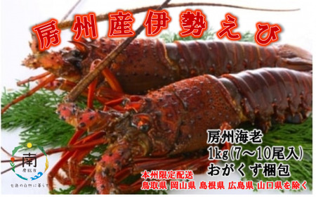 伊勢エビ 天然 活き 伊勢海老 総量1kg 活 伊勢えび イセエビ えび エビ 海老 mi0020-0001