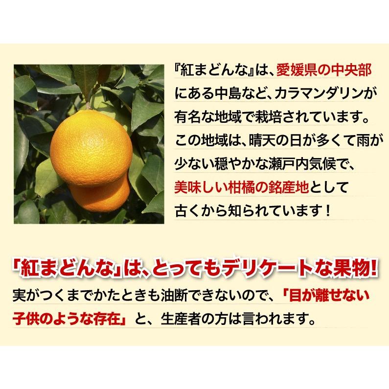 早期予約 みかん 愛媛県産 愛果 あいか ご家庭用 5kg 4L〜2Lサイズ 混合 20〜25玉 送料無料 J常