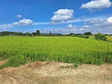 龍潭市區漂亮農地｜桃園市龍潭區成功段