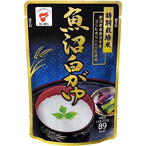 たいまつ食品 魚沼白がゆ 250g×10個