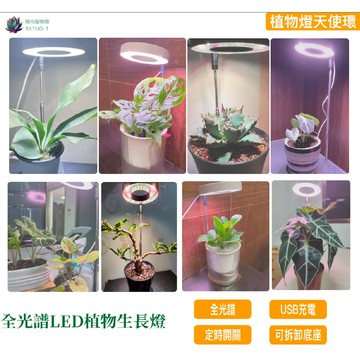 [瑞光植物燈]天使環 全光譜植物燈PRO 多肉 鹿角蕨 觀葉植物 龍舌蘭