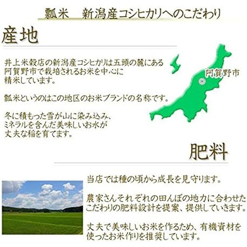 新潟県産 コシヒカリ 令和3年産 精米 ５ｋｇ×２袋 （１０ｋｇ）