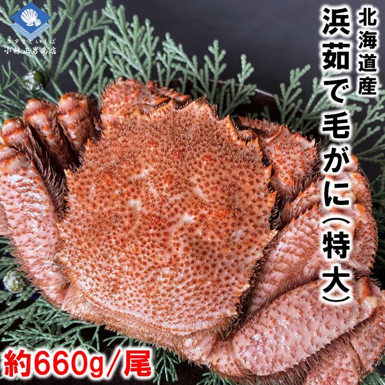 毛ガニ 毛がに 毛蟹 北海道産 浜茹で毛ガニ １杯約660g 特大サイズ 最上級品 堅ガニ ギフト お取り寄せ お歳暮 2023年物