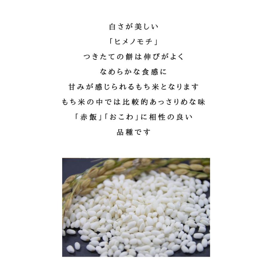 もち米 10kg 米 お米 白米 5kg×2袋 国内産 送料無料