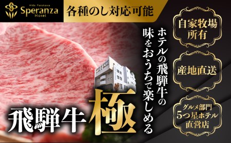 飛騨市推奨特産品飛騨牛　ＢＢＱ　がっつりカルビ500g[D0020nn]