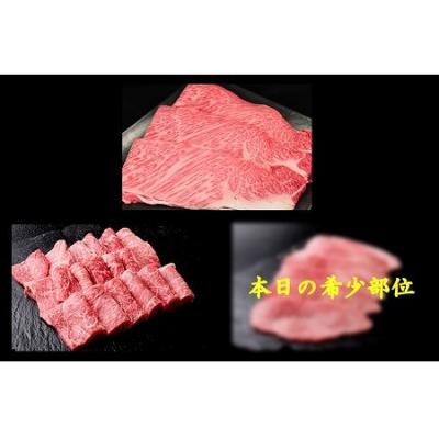 ふるさと納税 下呂市 飛騨牛肩ロース・赤身・本日の希少部位焼肉セット　各470g