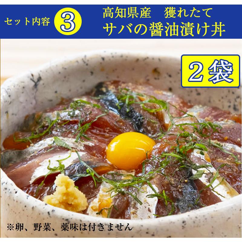 土佐の海鮮丼5種10袋セット（ワラ焼き鰹のたたき・鯛・サバ・カンパチ・ブリ 各2袋） ぶっかけ漬け丼 宇佐もん工房 お歳暮 のし対応可