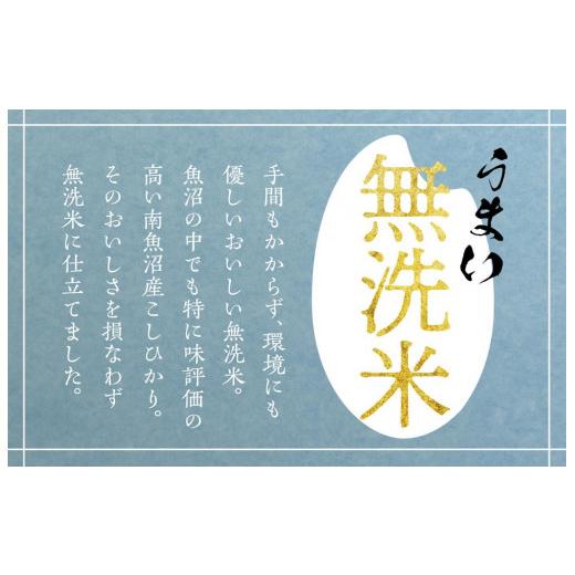 ふるさと納税 新潟県 南魚沼市 （2kg×5  全12回）南魚沼産こしひかり無洗米