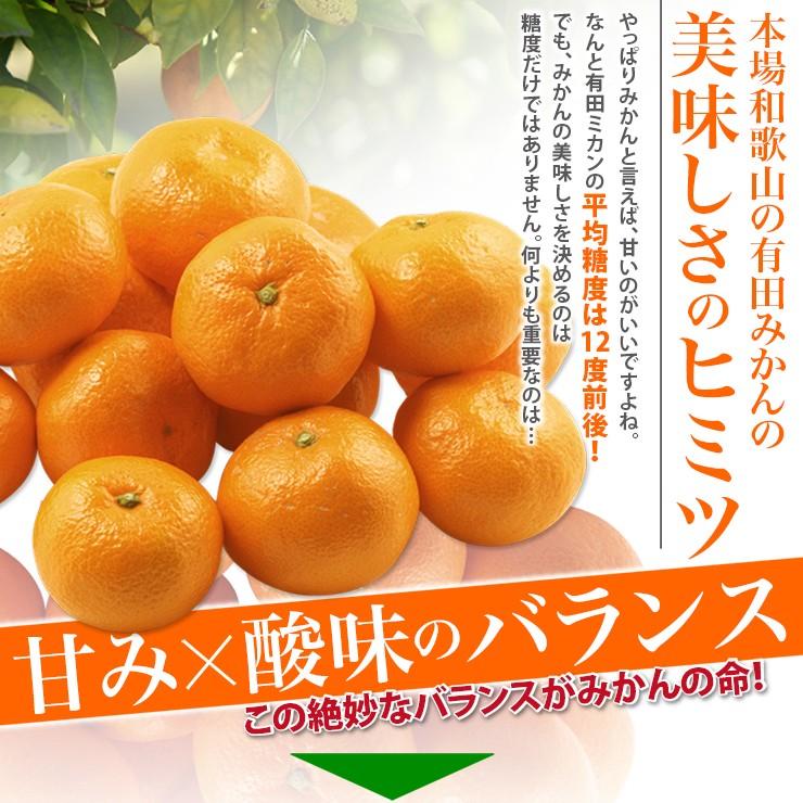 みかん 3kg 有田みかん 和歌山みかん ミカン 秀品 蜜柑 高級みかん 送料無料 和歌山県 有田みかん 2Lサイズ 箱買い 糖度 3キロ