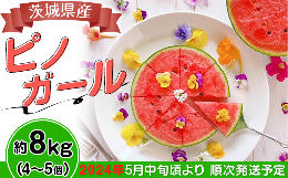 12-18茨城県産ピノガール約8kg（4～5個）