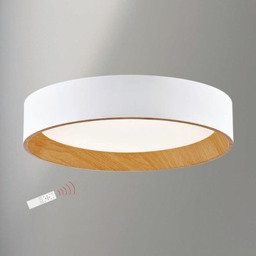 北歐風45W遙控吸頂燈 F85-09-K3485