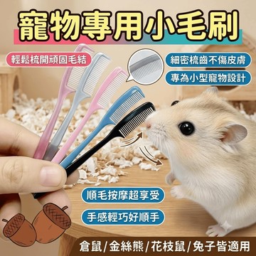 倉鼠梳子 花枝鼠用品 小梳子 毛刷 寵物脫毛梳 金絲熊 兔子開結刷 梳子