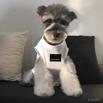 【限時特賣】寵物衣服  寵物搞怪衣服 潮牌寵物春夏薄款狗狗背心泰迪比熊雪納瑞博美貓咪小型犬透氣衣服
