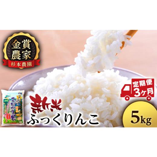 ふるさと納税 北海道 知内町  ★定期便★金賞農家★が作る「ふっくりんこ」5kg×3回《杉本農園》