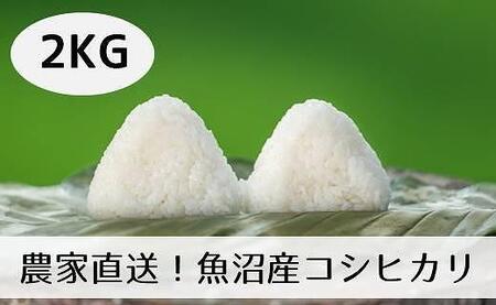 新潟県魚沼産コシヒカリ「山清水米」精米２kg(2kg×1袋)