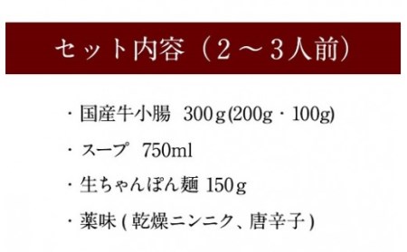 鶏家特選もつ鍋セット2～3人前（ふるさと納税限定セット）