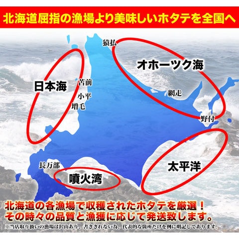 ほたて 帆立　訳あり 貝柱 生 冷凍 1kg 61～100玉前後 北海道産 ［ お刺身 生食 刺身 海鮮丼 ］[ 割れ欠けが少ない軽度な 訳有 (わけあり) A 特 等