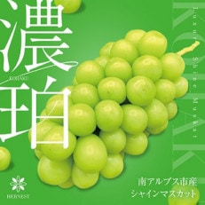 濃珀～KOHAKU～南アルプスの高級シャインマスカット　厳選一房700以上