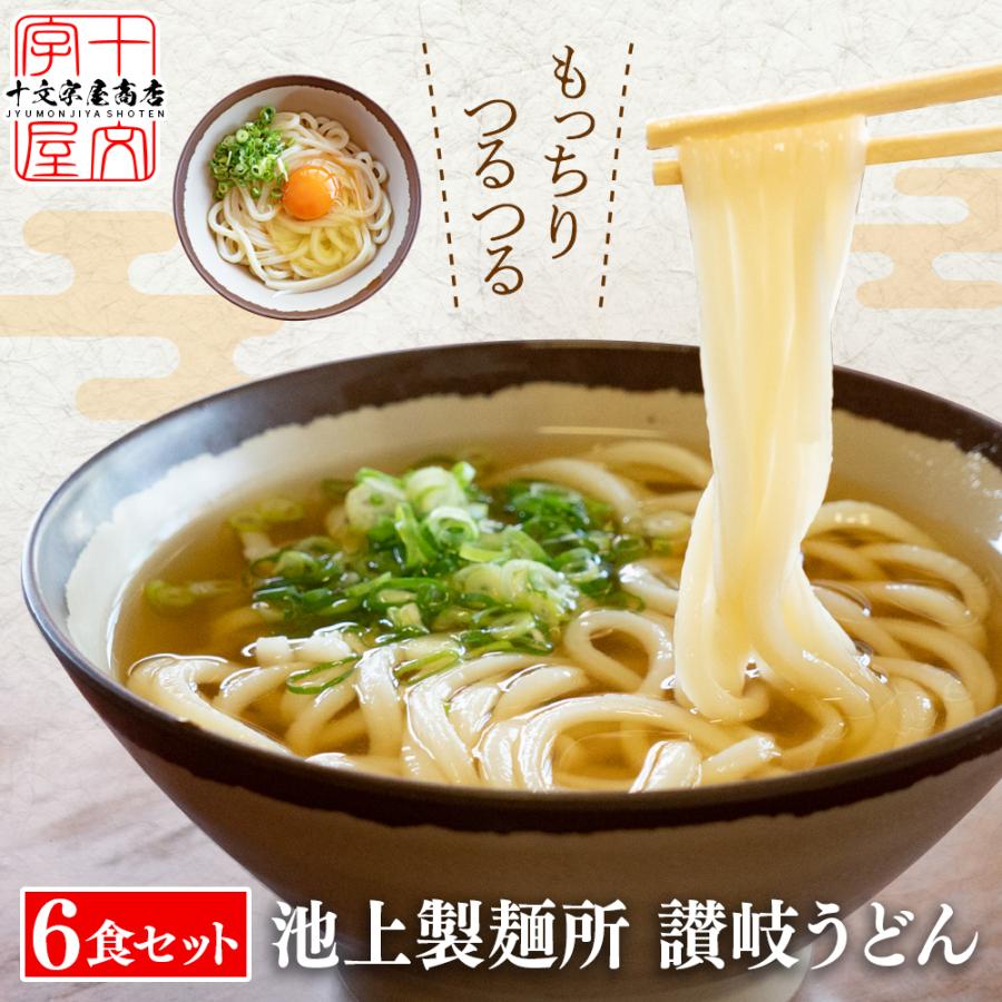 本場香川の 讃岐うどん だし醤油付き 6人前 300g×2袋 6食セット 釜玉 ぶっかけ 生麺 グルメ 食品 お取り寄せ メール便 送料無料 tkjb