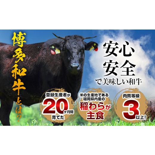 ふるさと納税 福岡県 田川市 博多和牛　サーロインステーキ　750g