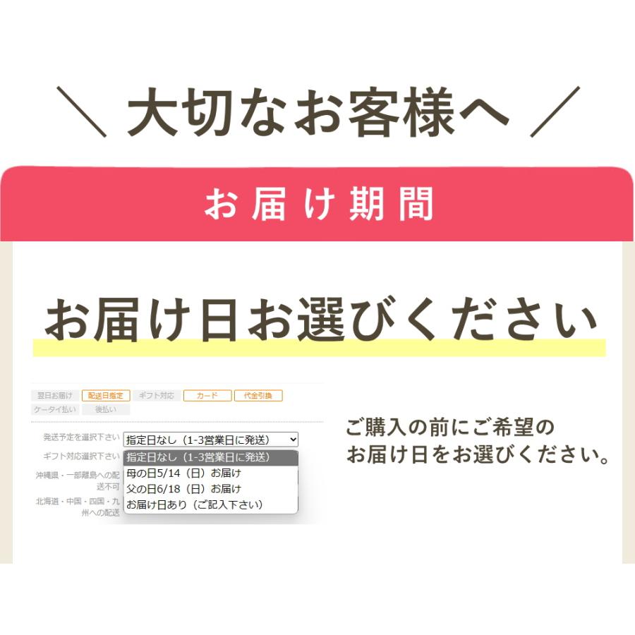 冷凍 ブルーベリー 約600g (100g×6個) ブルーベリー フルーツ 果物 指定日対応 送料無料 サイズ混合 母の日 アイス