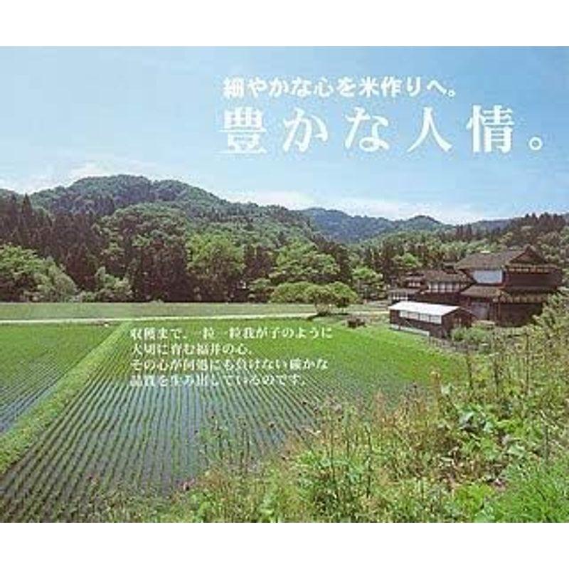 令和4年産 福井産 コシヒカリ 10kg (5kg×2袋) (玄米のまま（5k×２))