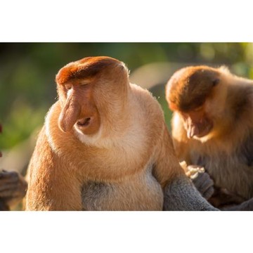 春遊｜新馬旅遊｜奢華文華東方2晚.雲頂纜車.雙米其林美食.濱海灣花園五日_26SK5D14