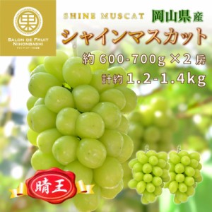 [最短順次発送]  シャインマスカット 晴王 計約1.2kg 約600-700g×2 岡山県産 大粒 はれおう マスカット 高糖度 果実 夏ギフト 夏ギフト