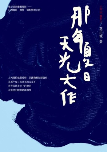 那年夏日天光大作[二手書_近全新]