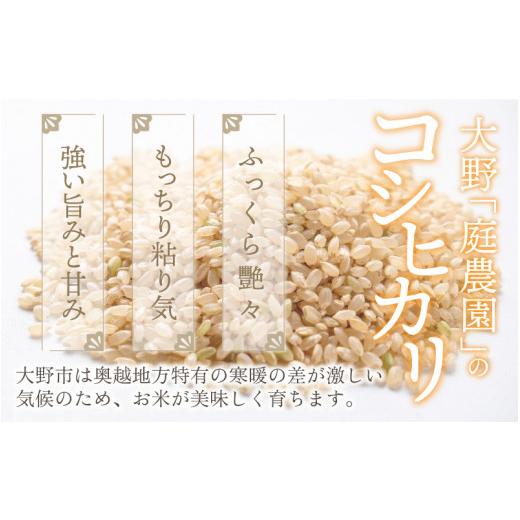 ふるさと納税 福井県 大野市 越前大野産 エコファーマー認定農家栽培 こしひかり5kg（玄米）