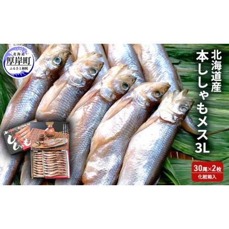 ふるさと納税 北海道産 本ししゃも メス 3Lサイズ 30尾×2枚 (合計60尾) 化粧箱入 北海道厚岸町