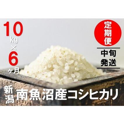 ふるさと納税 10kg×6ヶ月　南魚沼産コシヒカリ 新潟県南魚沼市