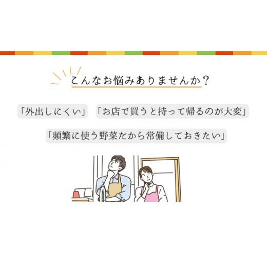 ふるさと納税 長崎県 大村市  じゃが玉人参セット 約5kg じゃがいも・玉ねぎ・人参の定番野菜 3品目の野菜詰め合わせ 夏季は7〜8品目 野…