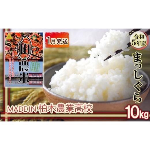 ふるさと納税 青森県 平川市 1月発送 令和5年産 まっしぐら 10kg