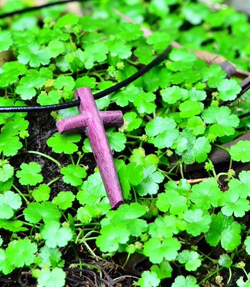 Carved Life系列 / Cross十字架項鍊-紫心木