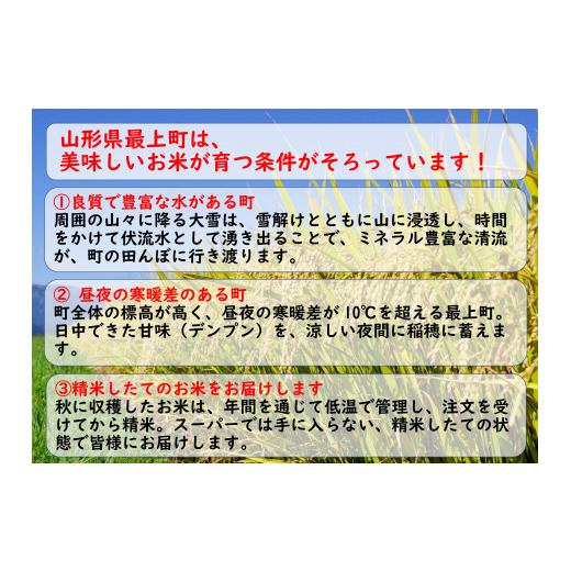 ふるさと納税 山形県 最上町 IG 山形県産 特別栽培米 つや姫10kg (5kg×2袋)