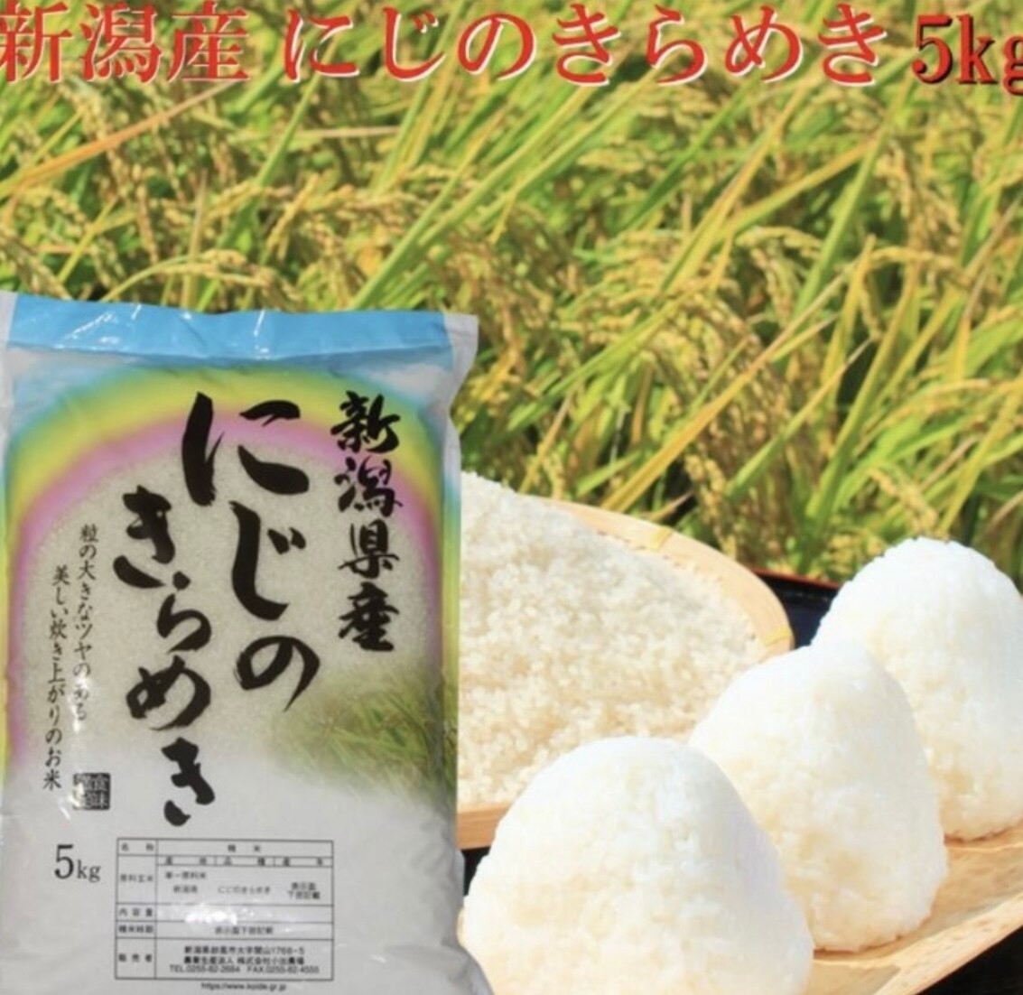 新米　新潟県産 にじのきらめき 白米 5kg 令和５年産　プレゼント入り　新米 米 高級米 おいしいお米 美味しいお米 産地直送 農家の米 コシヒカリの郷小出農場