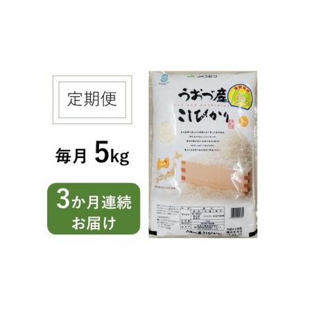 ふるさと納税 5kg×3ヶ月定期便　富山県うおづ産米コシヒカリ 白米 富山米 富山県魚津市