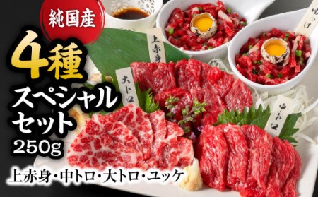 純国産 馬刺し 4種スペシャルセット 250g 赤身 霜降り 大トロ