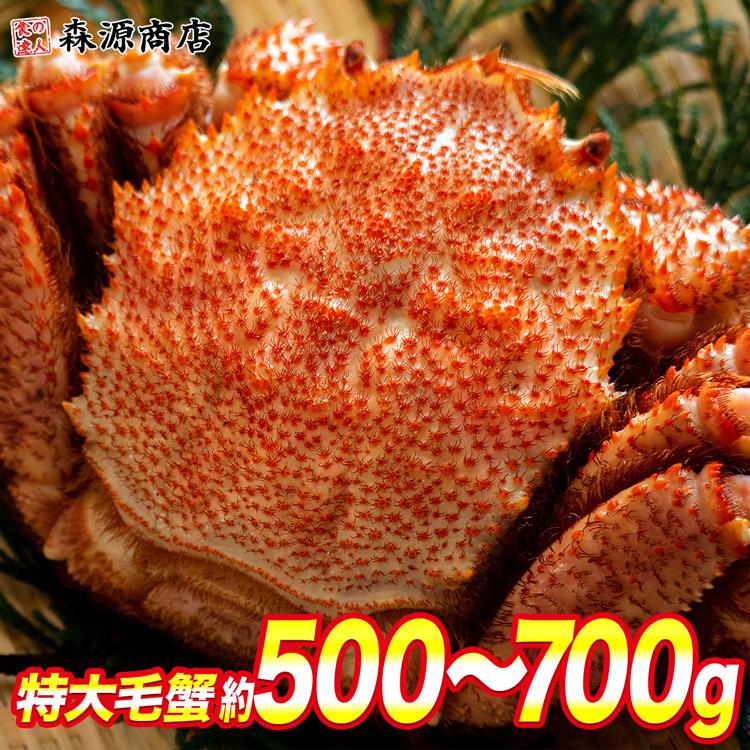 ロシア産 毛ガニ 大1尾 約500g〜700g ロシア産 送料無料 毛蟹 けがに ケガニ 蟹 カニ かに グルメ 優良配送 お歳暮 ギフト 10%クーポン