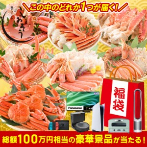 総額100万円相当の豪華景品が当たる！ カニガチャ カニ福袋 かに カニ 蟹 福袋 運試し福袋 ずわいがに タラバガニ 越前蟹 海鮮福袋 ギフ