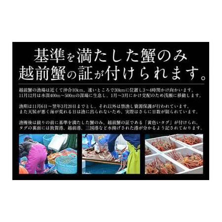 ふるさと納税 [053-b004] まるごと使用！ズワイ蟹甲羅盛り × 3個 セット 【しおそう ずわい蟹 ずわいガニ ズワイガ.. 福井県敦賀市