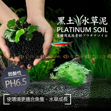 宏洋水族【10g=1元🔥黑土 水草泥】100g/單位〞水草缸底砂 底砂 水草底床 水草 黑泥 水晶蝦 黑土 基肥砂 底沙
