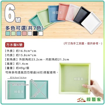 【綠藝家】莫蘭迪色方型水盤6號-多肉透氣四方矮盆水盤 四方盆水盤 底盤 托盤 盛水盤 盆栽 水盤